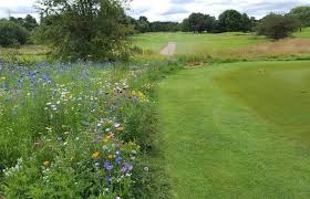 Image result for Great Barr Badminton Club