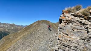 Image result for pheega