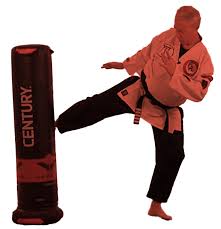 Image result for Dumfries Wado Ryu  Karate club