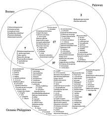 Attēlu rezultāti vaicājumam “Didymium megalosporum macro”
