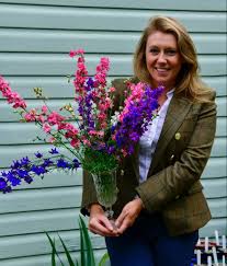 Image result for Delphinium consolida