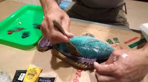 「魚拓」的圖片搜尋結果