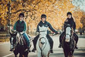 Image result for Old Park Riding Stables