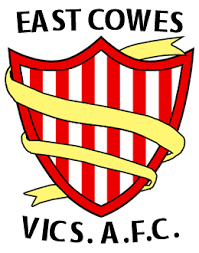 Image result for Cowes Sports Football Club