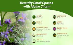 Attēlu rezultāti vaicājumam “Trichia alpina young”