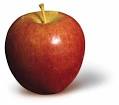 NY Apple Country Braeburn Apple Photo