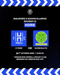 Image result for Woking Phoenix Football Club