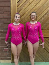 Image result for Wyre Forest School Of Gymnastics