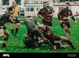 Image result for Hayle Rugby Football Club