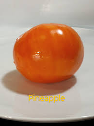 Afbeeldingsresultaat voor cabin tomato