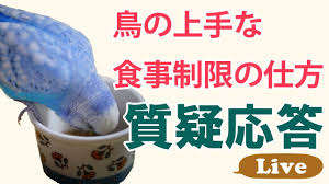 「海老沢和生」の画像検索結果