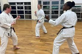 Image result for Soncho Karate Club