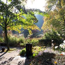 Image result for Mien Ruys