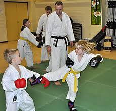Image result for Epsom & Ewell Karate Club
