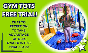 Image result for Gym Tots
