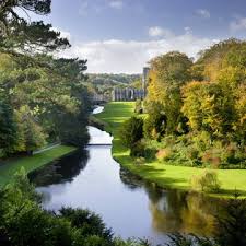 Image result for Studley Royal Cc