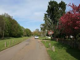 Image result for Leatherhead & Cobham Cc