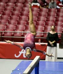 Image result for Angmering Gymnastics