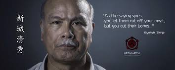 Image result for Uechi-Ryu Karate Do, Hedge End