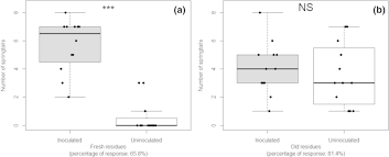 Attēlu rezultāti vaicājumam “Heteromurus nitidus”