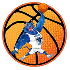 Image result for Spen Valley Vipers