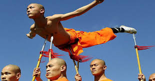 Image result for kung fu