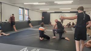 Image result for Mansfield Constrictors Grappling Academy