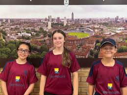 Image result for Woking and Horsell Cricket Club