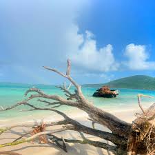 Image result for culebra beach tank