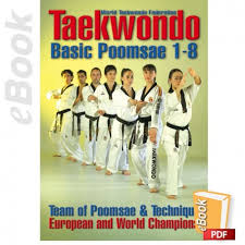 Image result for Reading Wtf Taekwondo