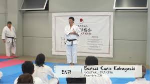 Image result for enpi dojo