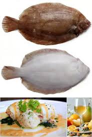 Image result for Microstomus kitt