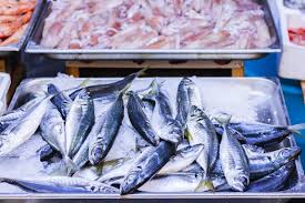 Image result for Istiompax indica