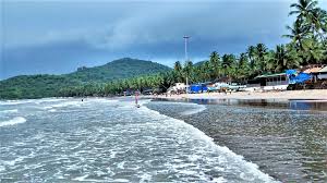 Image result for goa beaches