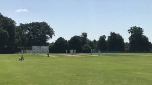 Image result for Sawbridgeworth Cricket Club