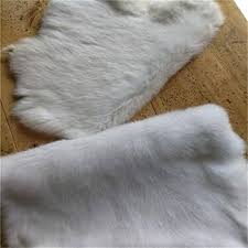 Image result for white rabbit skin texture