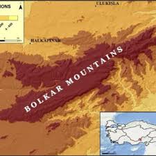 Attēlu rezultāti vaicājumam “Platydictya jungermannioides macro”