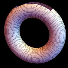 Image result for costa minimal surface