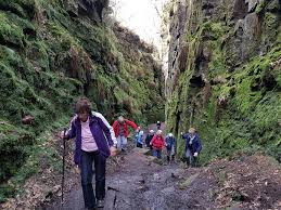 Image result for U3A Sheffield Scrabble Club