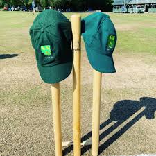 Image result for Lynchmere Cricket Club