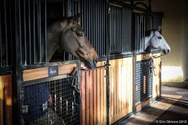 Image result for Carman Stables