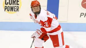 Image result for Sutherland Badminton Club