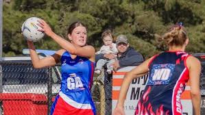 Image result for Sanders Netball Club