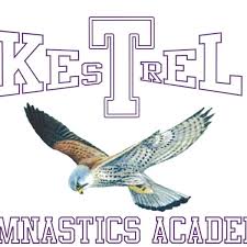 Image result for Kestrel Gymnastic Group