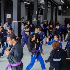Image result for Unity School Of Jiu Jitsu