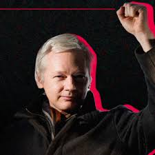 Image result for julian assange