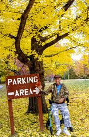 Image result for mars trees