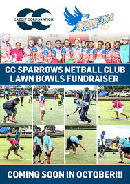 Image result for Lawn Netball Club