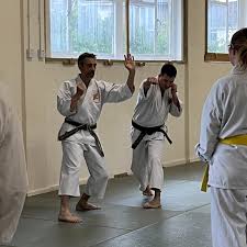 Image result for University of Bristol Shorinji Kempo Club