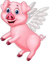 Image result for flying pigs